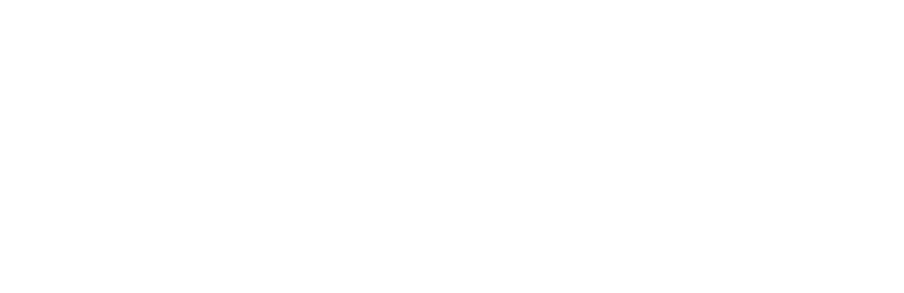 Company Name logo